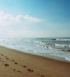Elegushi Beach Lagos