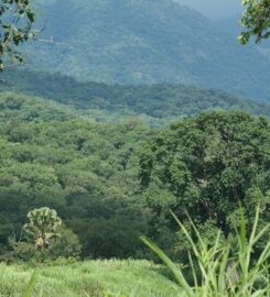 Gashaka-Gumti National Park