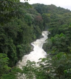Cross River National Park