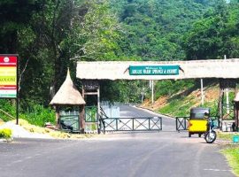 Ikogosi